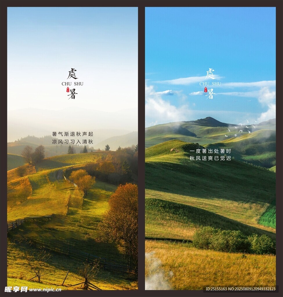 节气 处暑