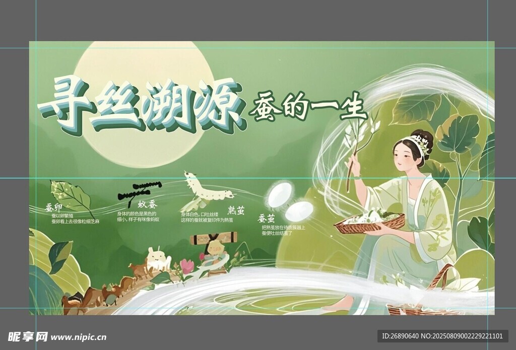 蚕的一生