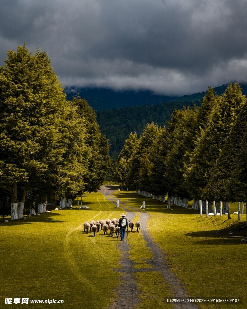 山间草地中的休闲帐篷