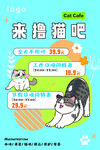 可爱猫咪等你来撸