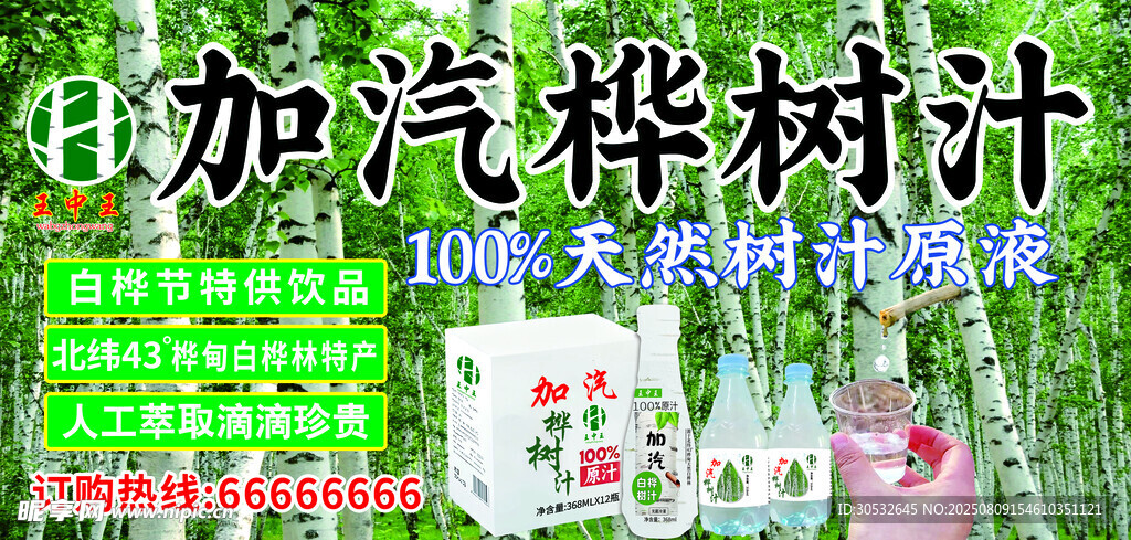 白桦树汁大型海报