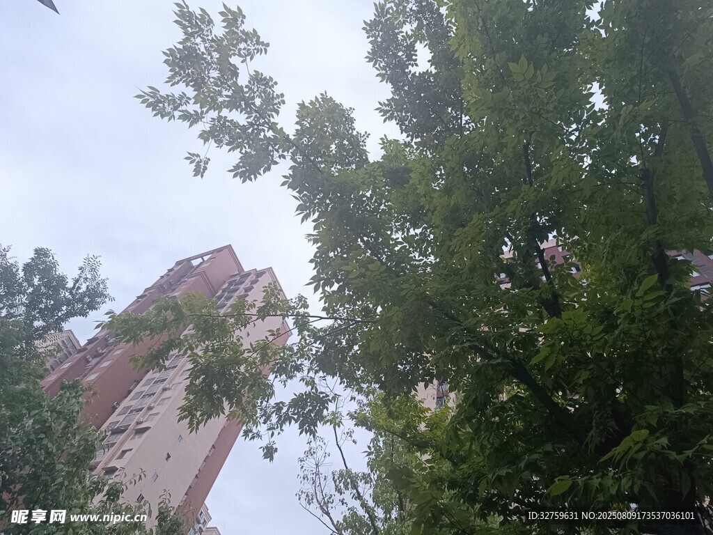 绿树掩映下的高楼