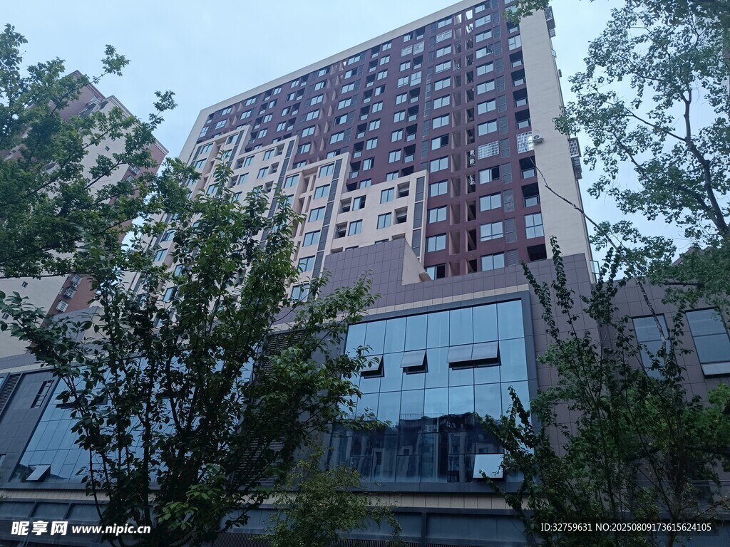 城市中高楼与绿树景观