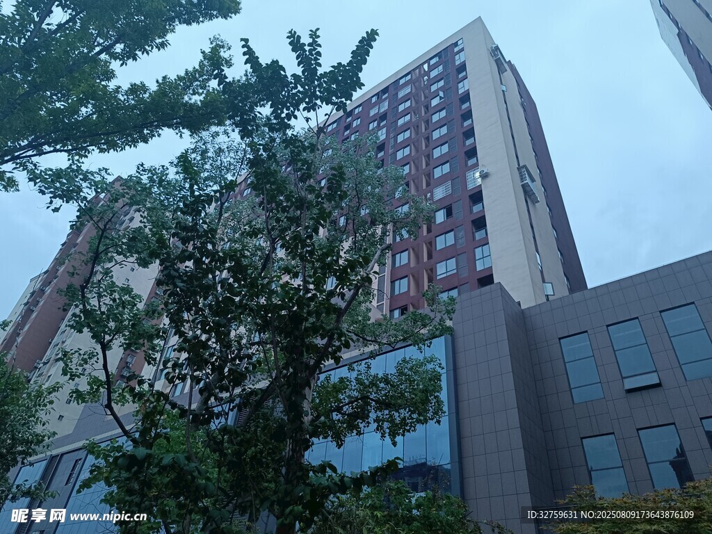 城市中高楼与绿树景观