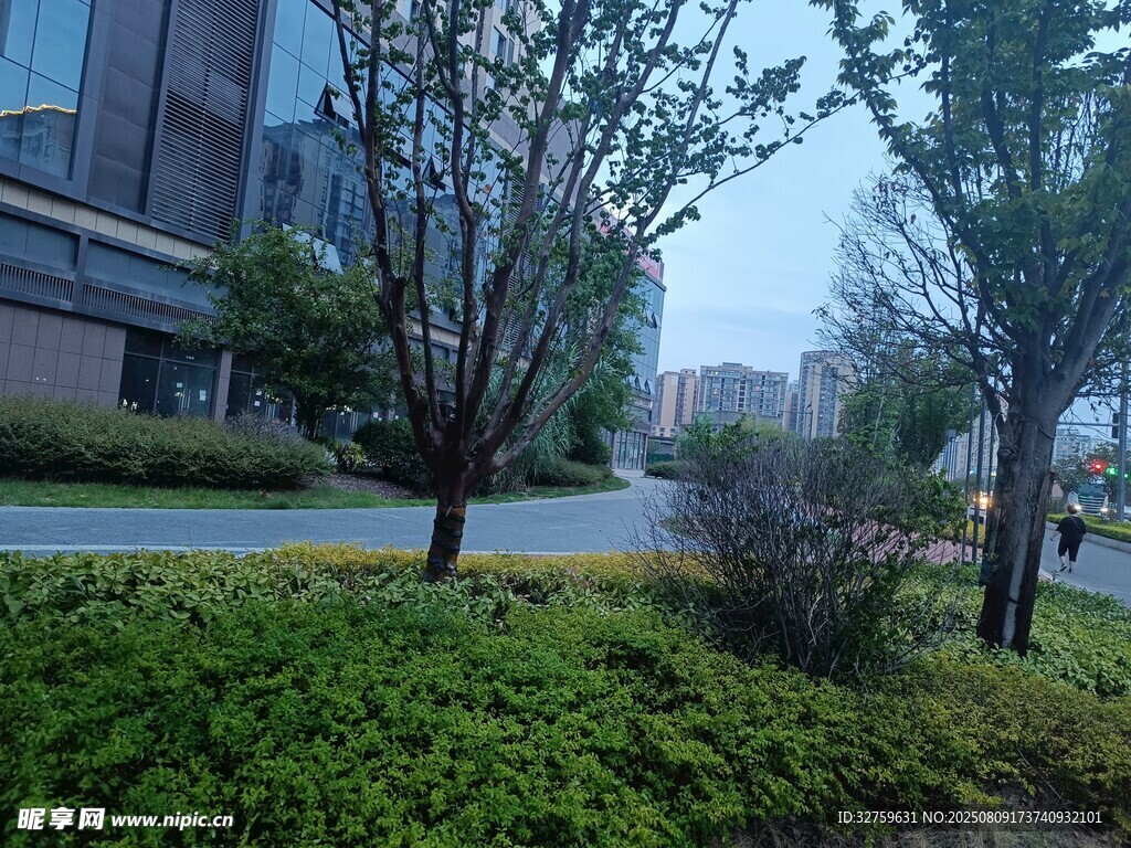 城市街边绿化景观