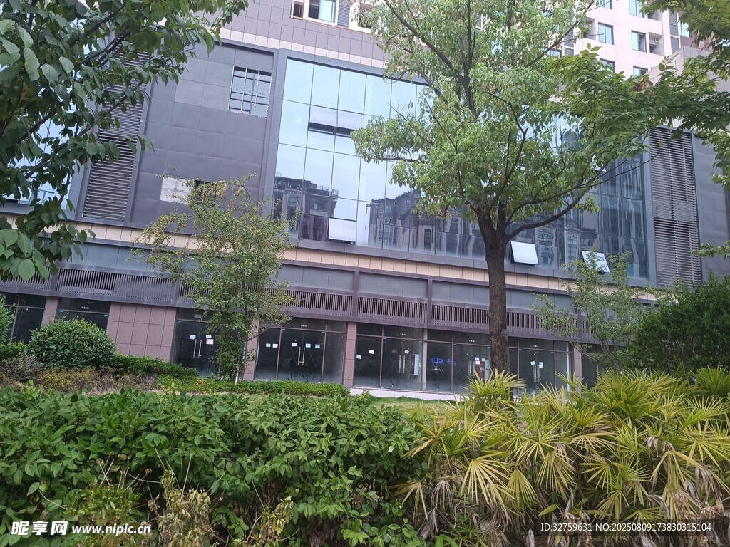 现代建筑旁的绿植景观