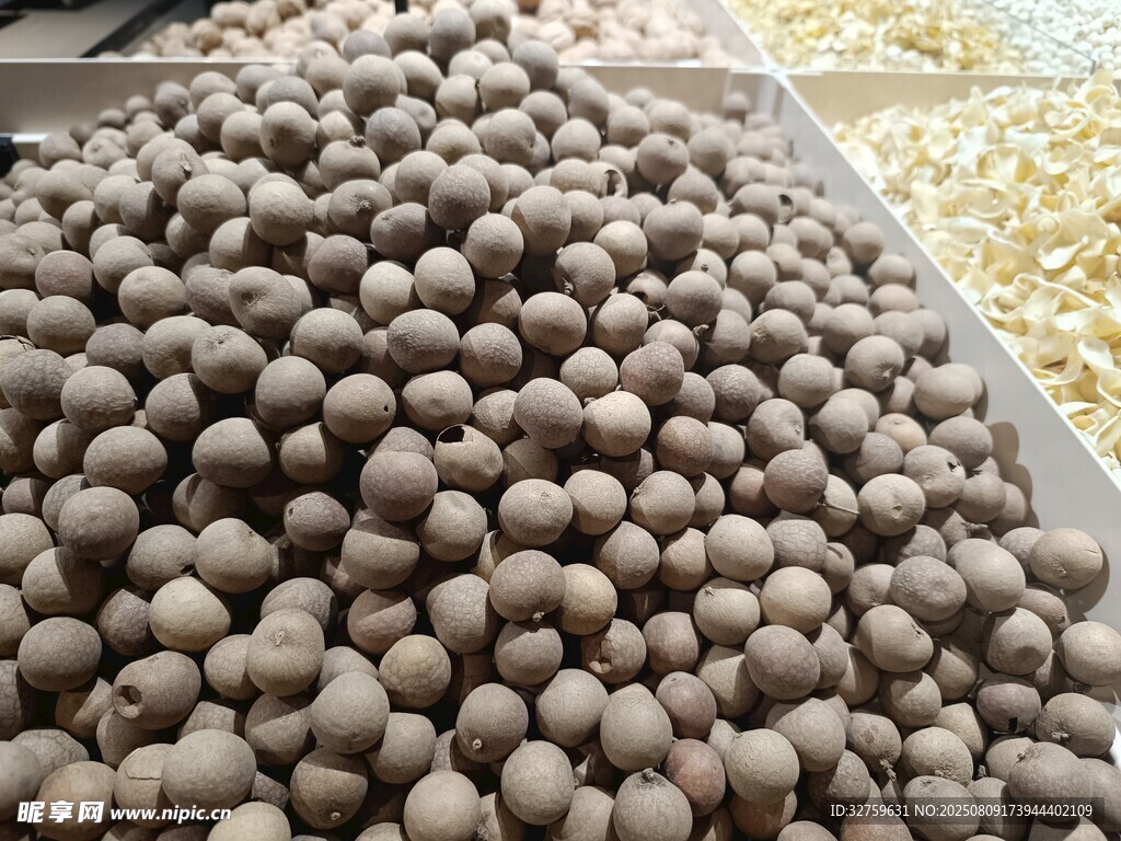 桂圆