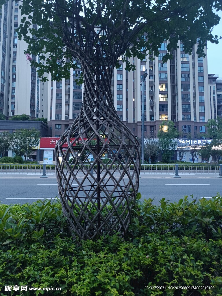 城市街头独特造型景观树