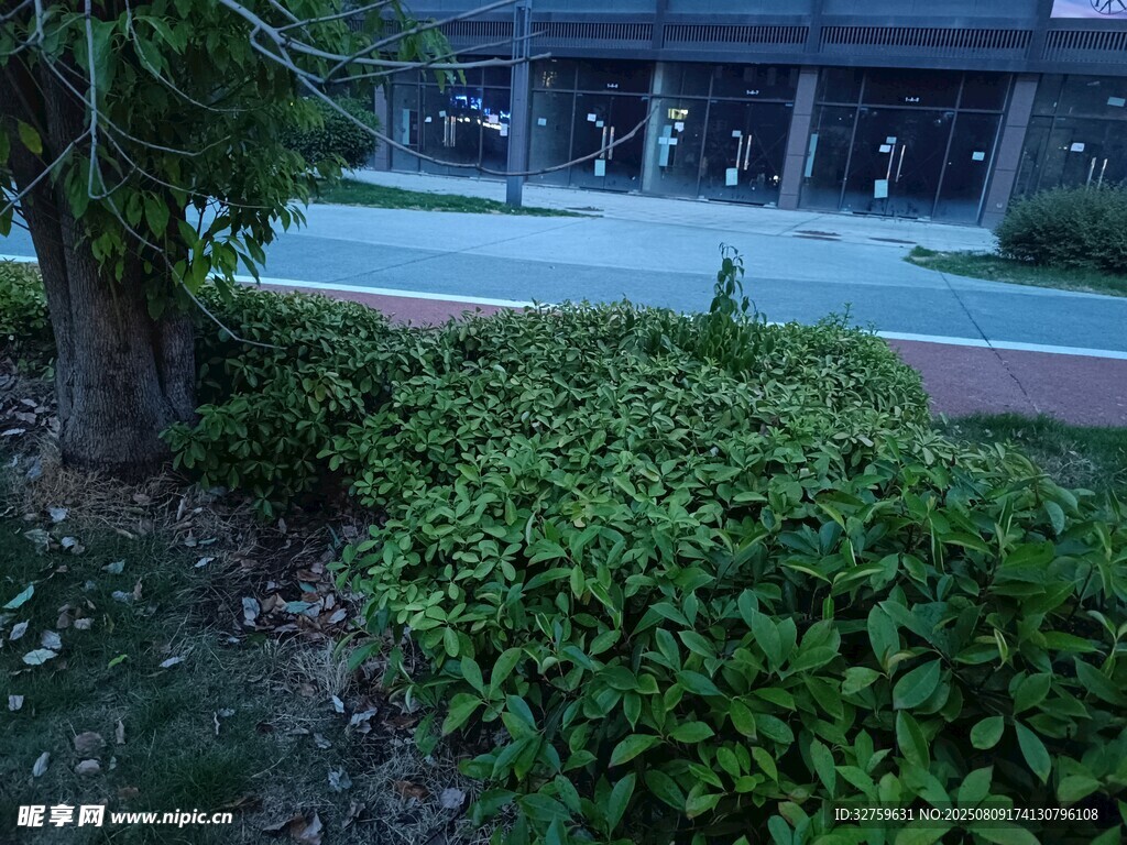 户外绿植环绕的休闲场景
