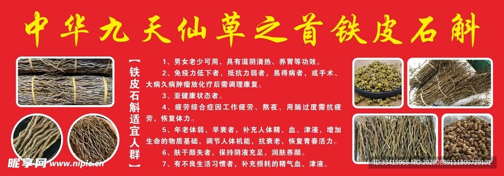 霍山铁皮石斛