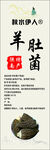 羊肚菌标签