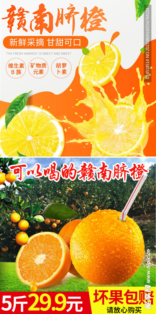 赣南脐橙新鲜上市橙子主图直通车