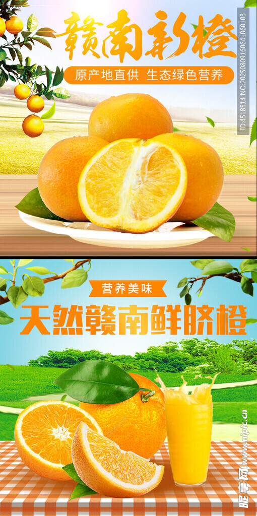 新鲜赣南脐橙水果主图直通车