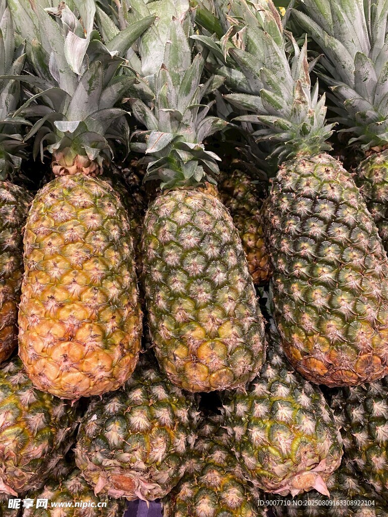 新鲜饱满的菠萝堆