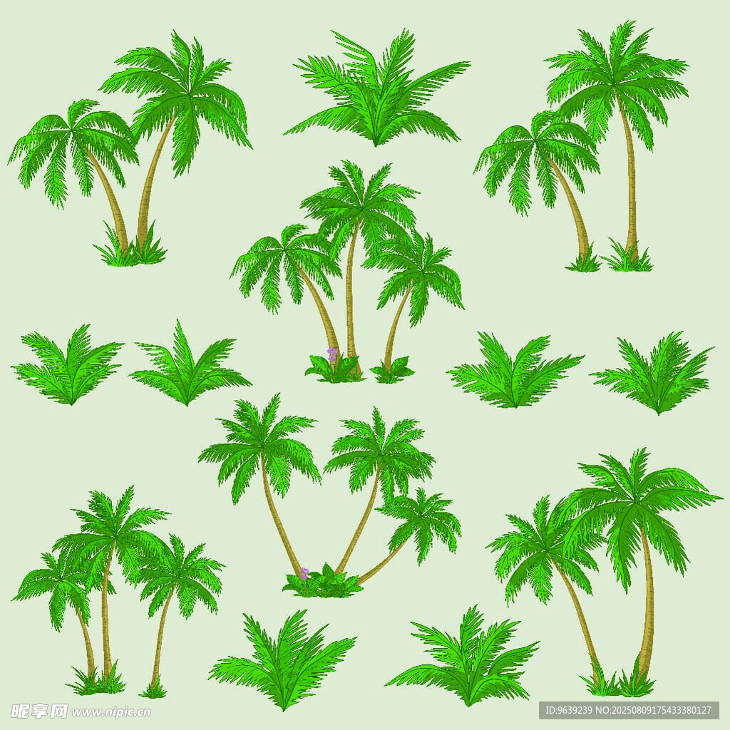 棕榈树 