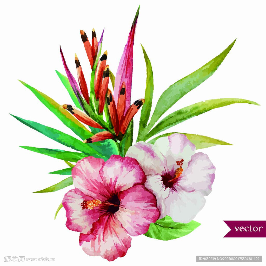 热带花卉