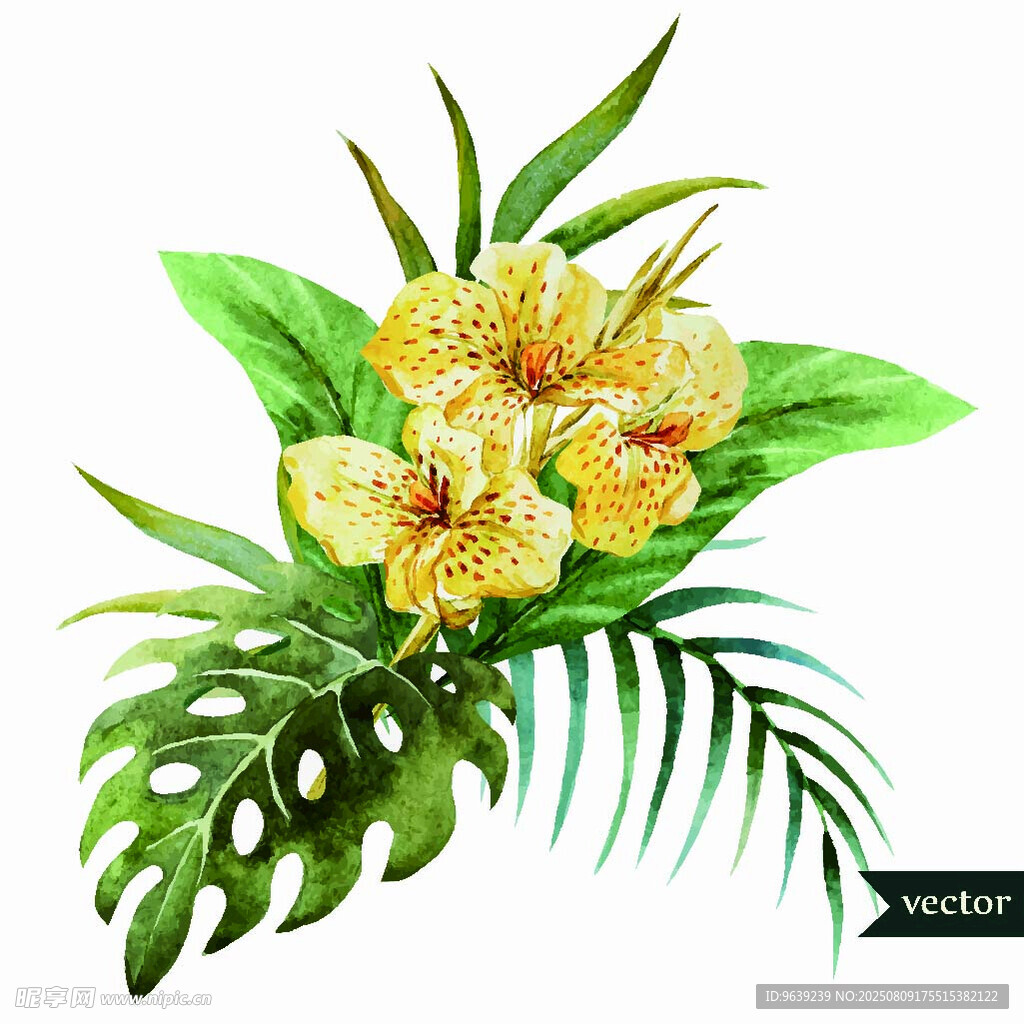热带花卉