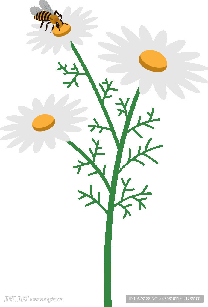 蜜蜂停留在雏菊枝干上