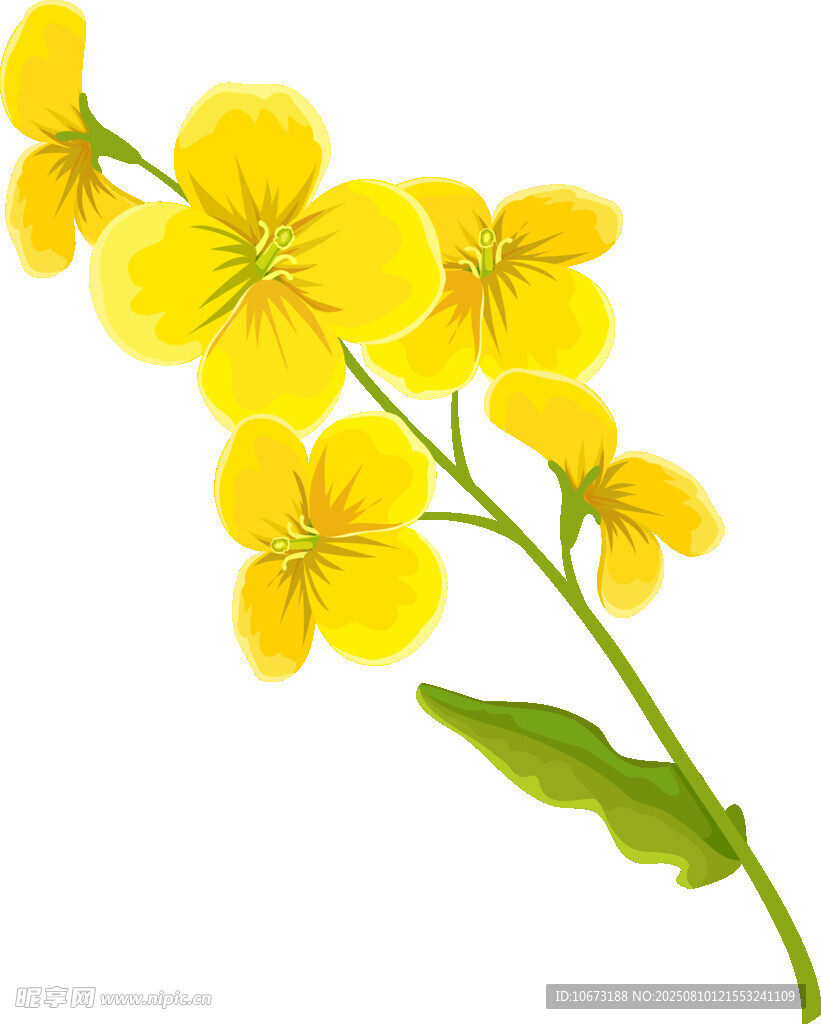 黄色小花枝