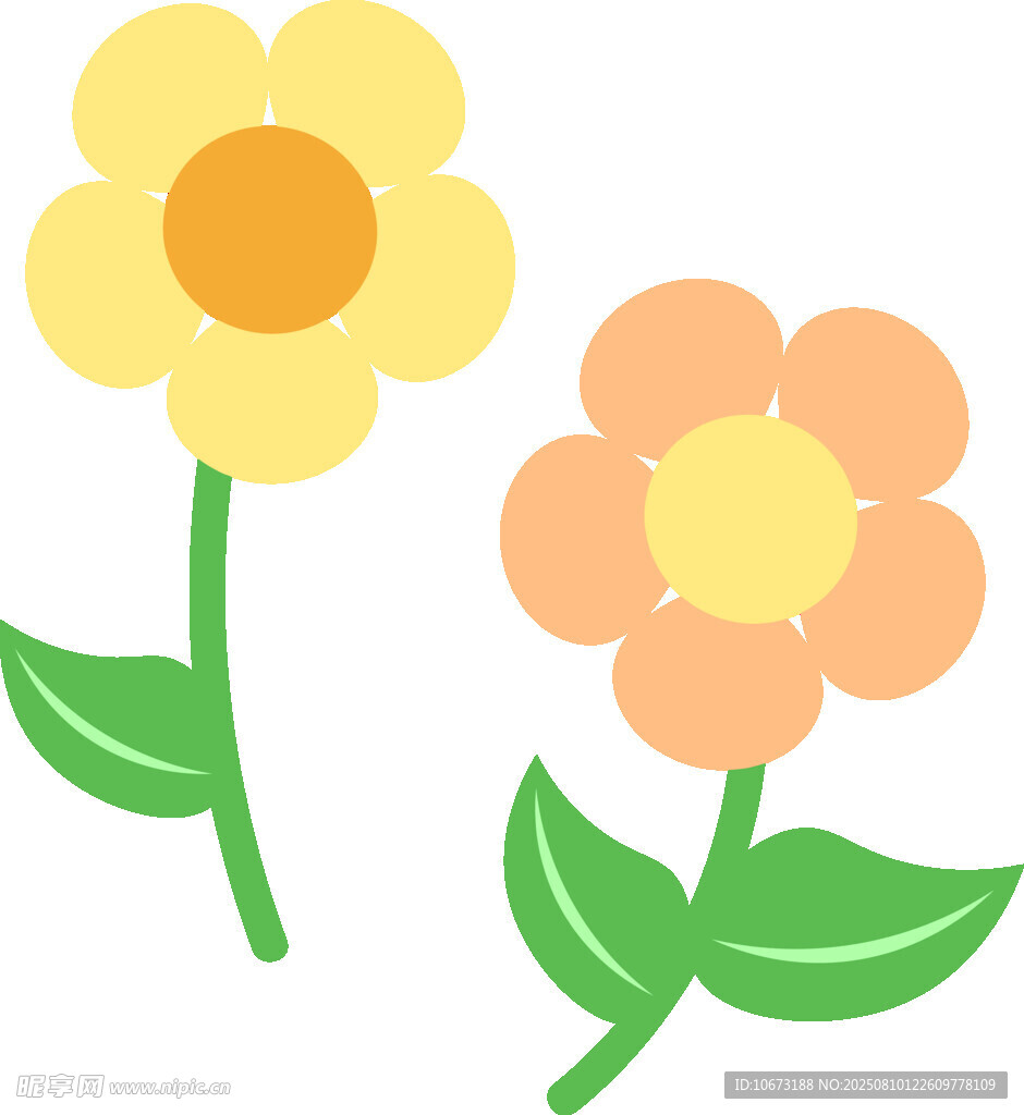 两朵可爱花朵插画