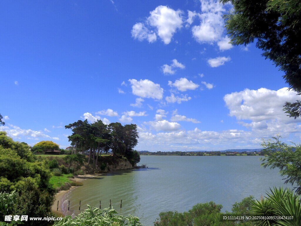 奥克兰海边风景