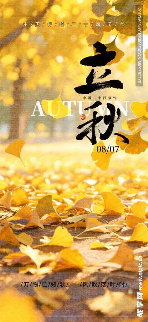 立秋