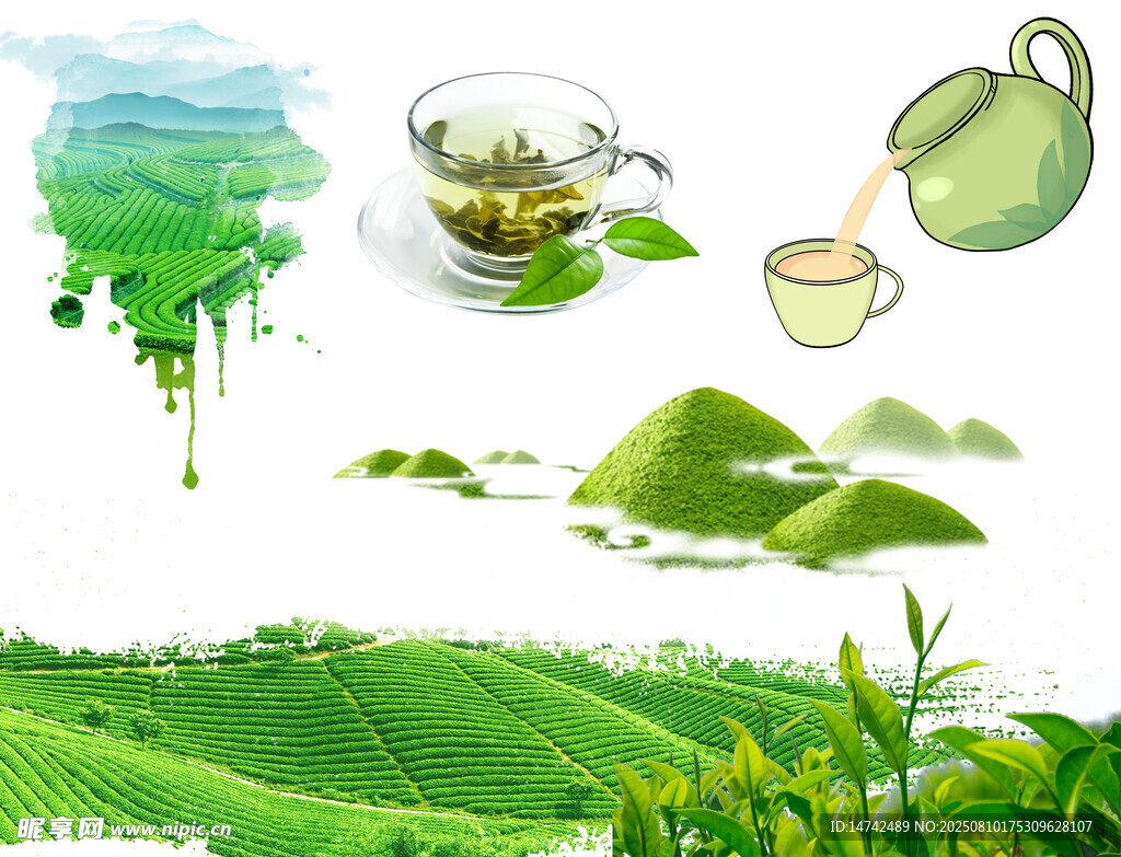 免扣茶叶素材