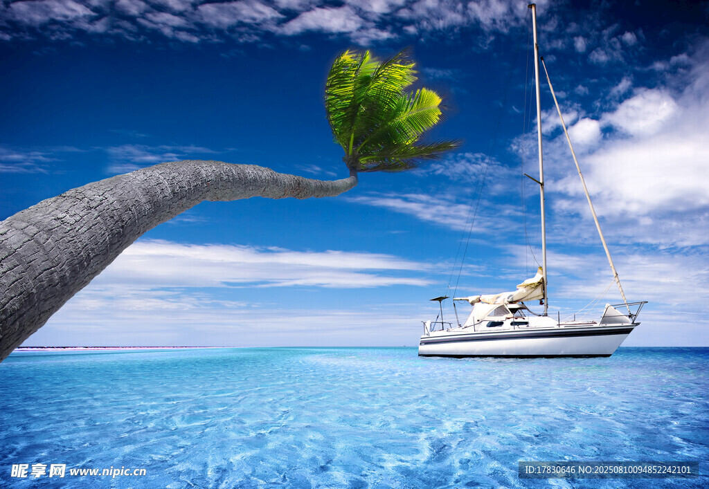 奇幻海上漂浮树与游艇