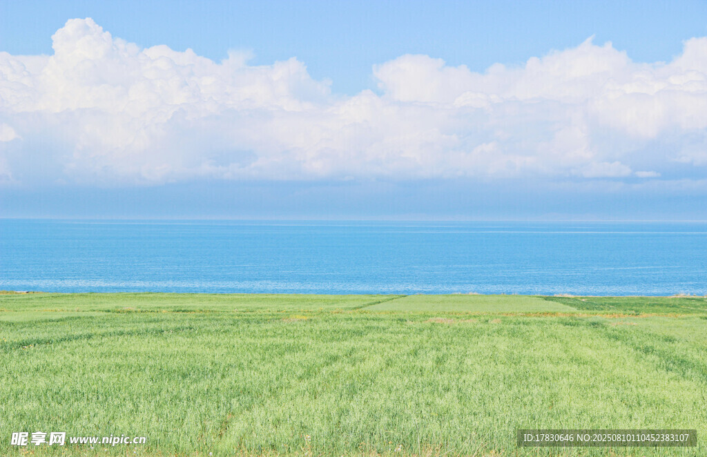 青海湖