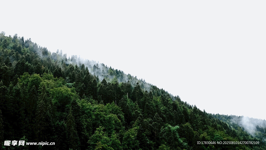 山林云雾缭绕美景