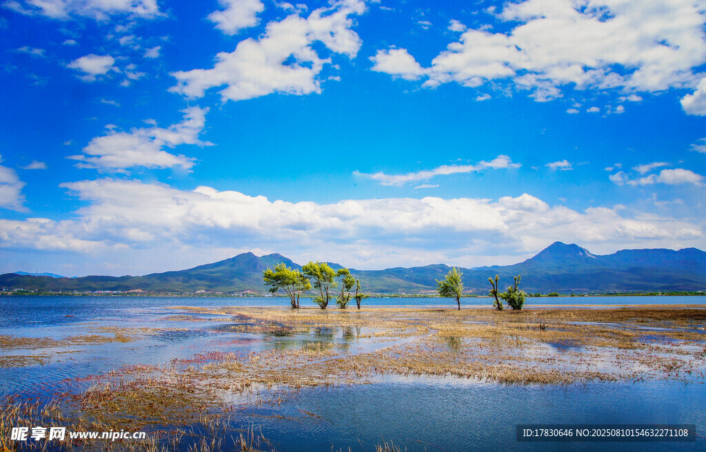 丽江拉市海湿地