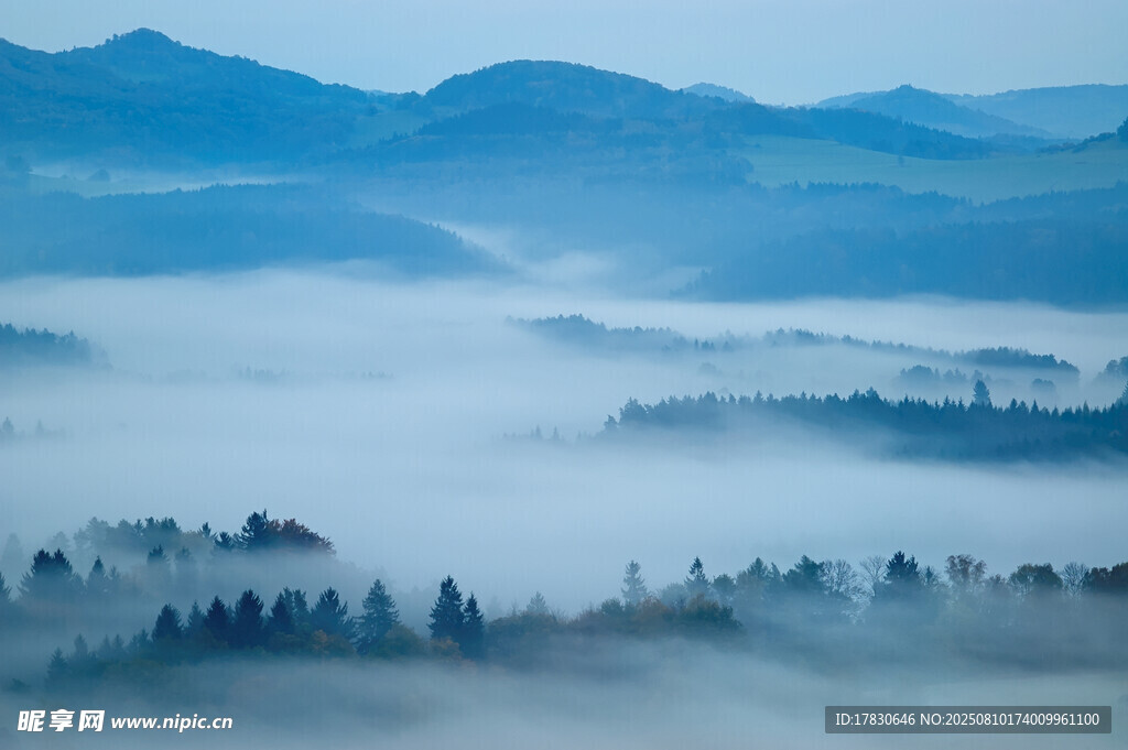 山间晨雾中的森林美景