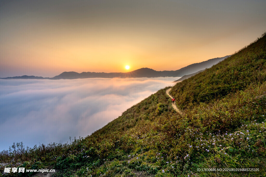 山间日出云海美景