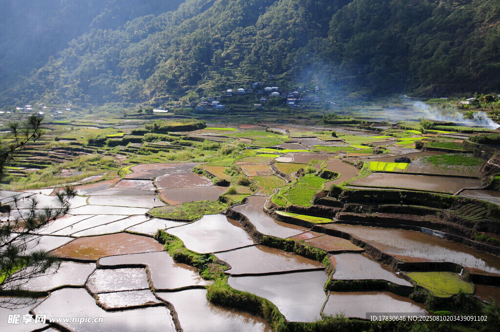 山间梯田美景