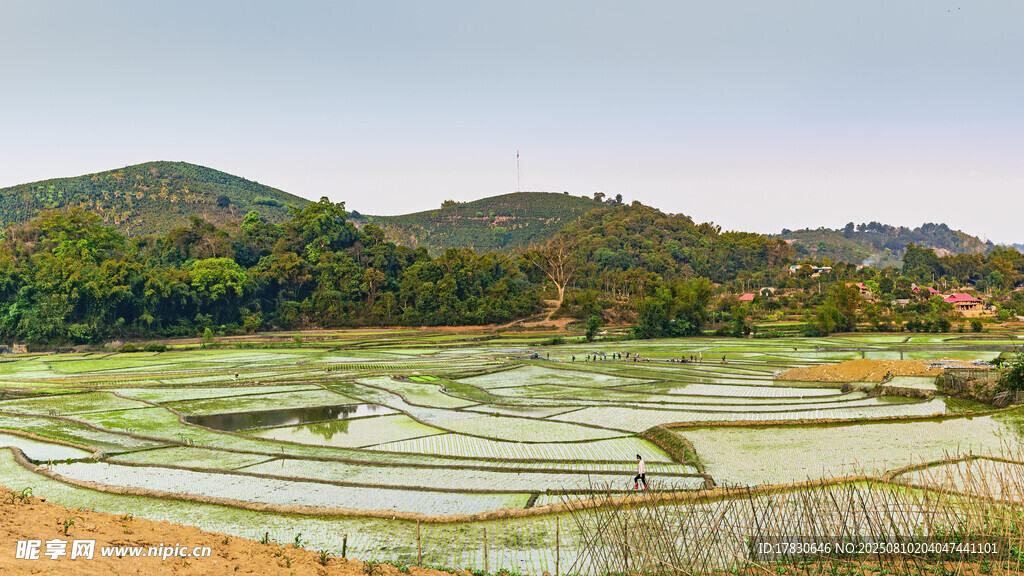 乡村田野