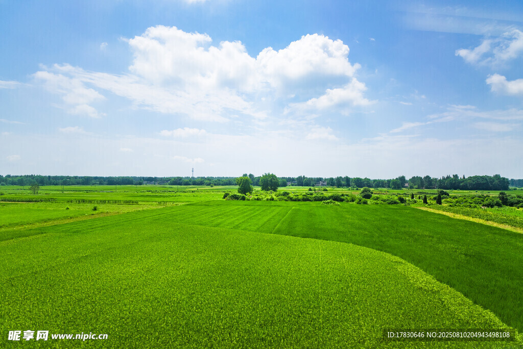广袤绿野田园风光美景