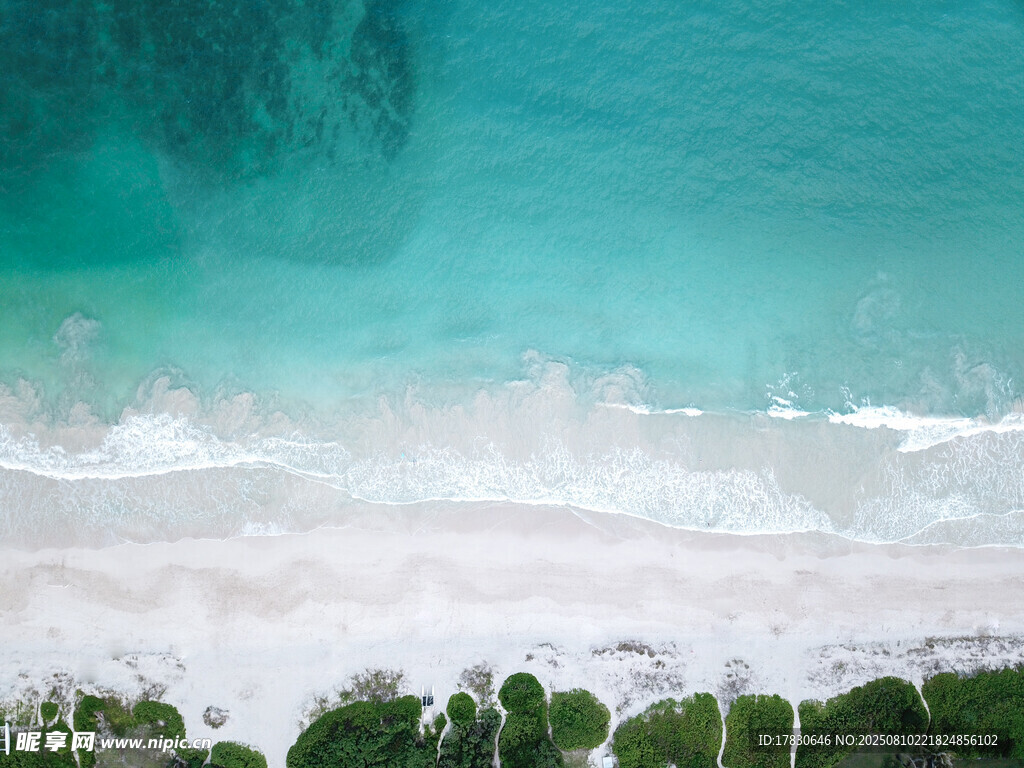 碧海白浪旁的翠绿景致