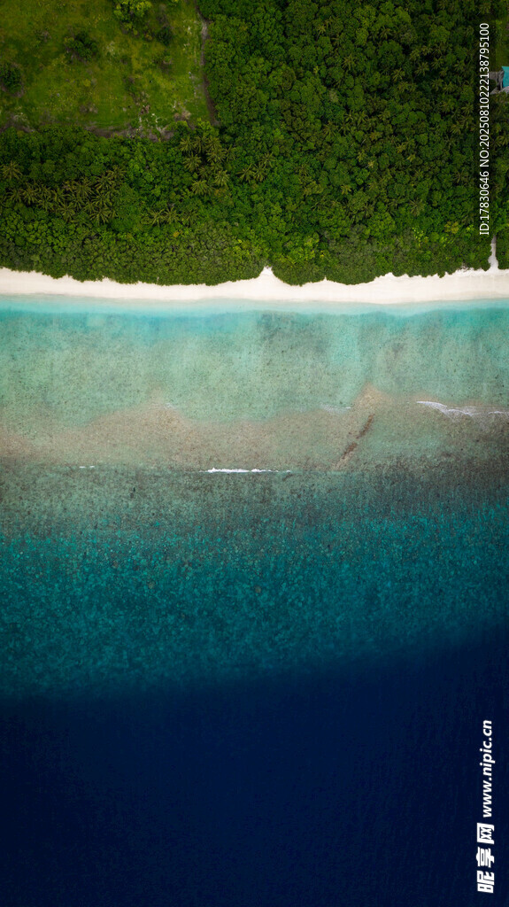 大海