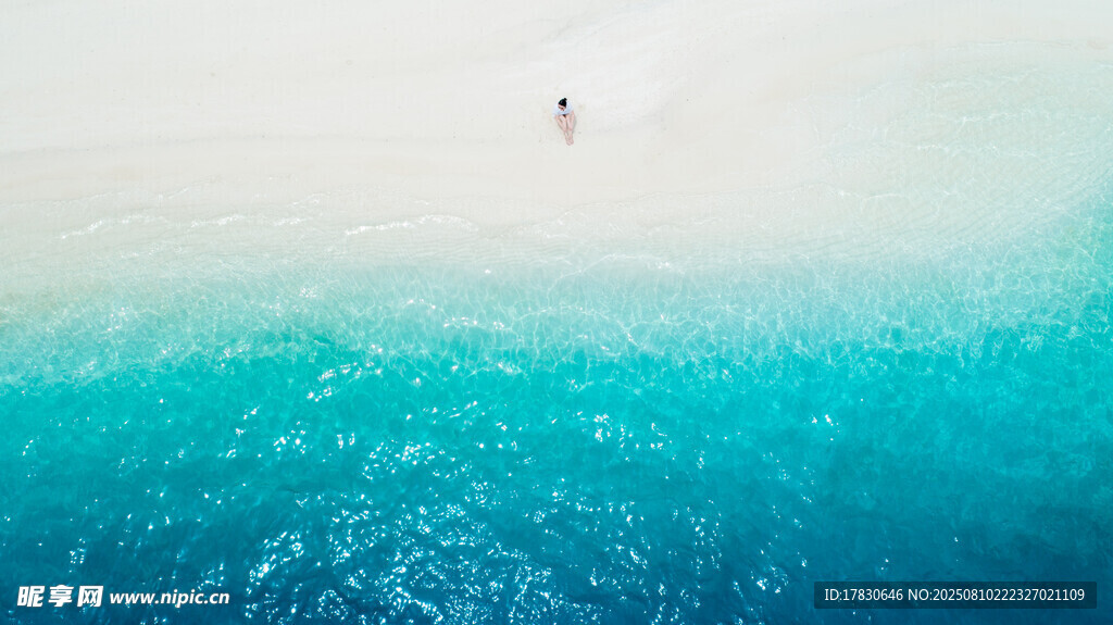 海中独行者