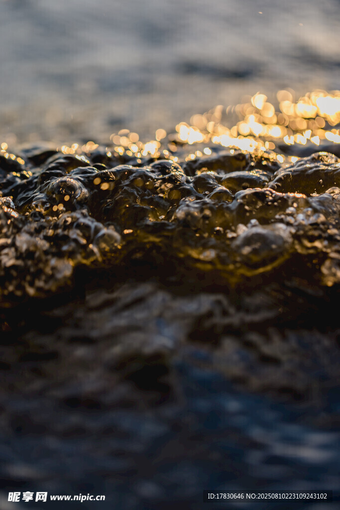 阳光下的晶莹泡沫