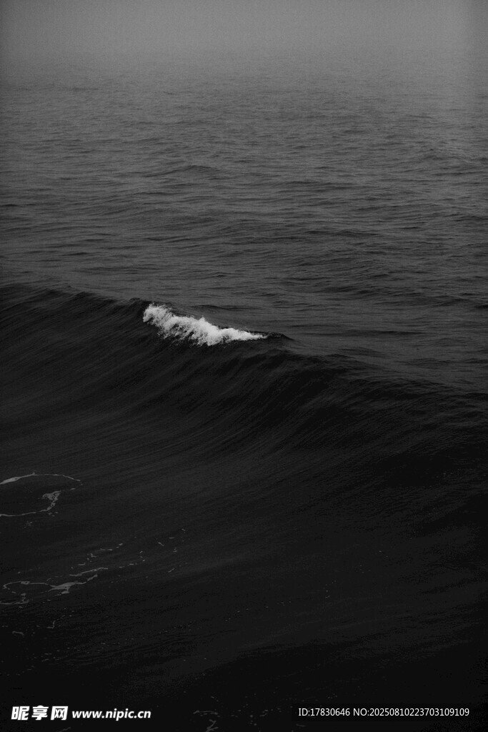 大海