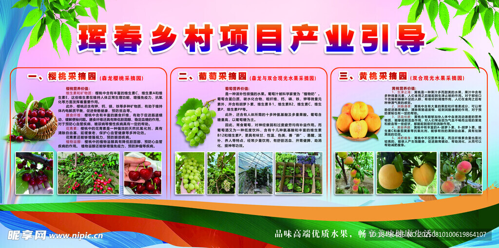 乡村产业项目展示