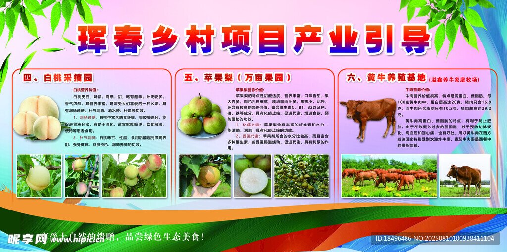珲春乡村项目产业展示