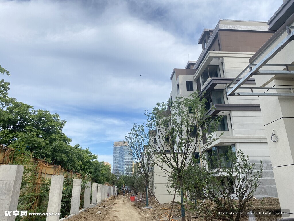 现代住宅旁的绿植景观