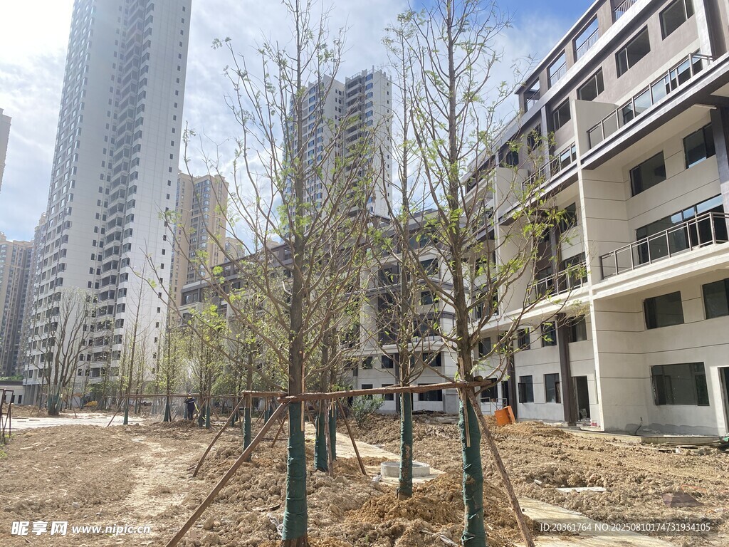 城市空地旁的新建绿植景观
