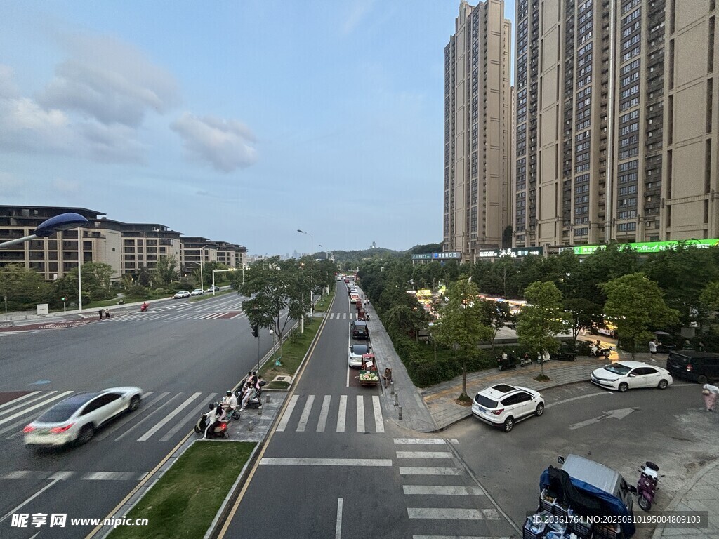 城市道路上的车辆与高楼
