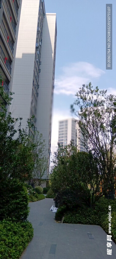 现代小区内的幽静绿植小径
