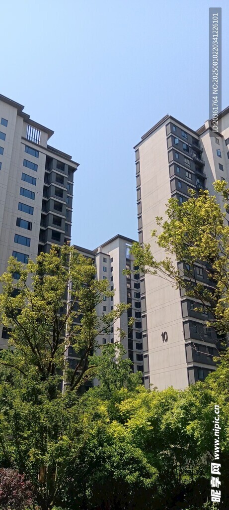 城市高楼与绿树景观