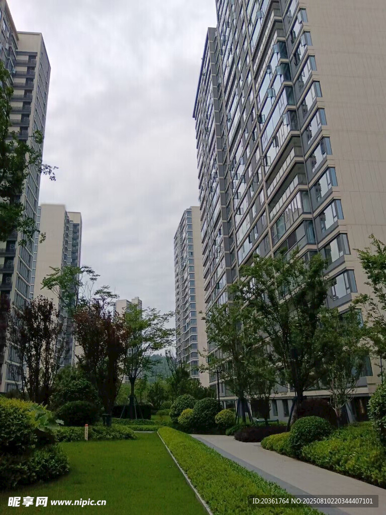 小区内的绿化景观步道