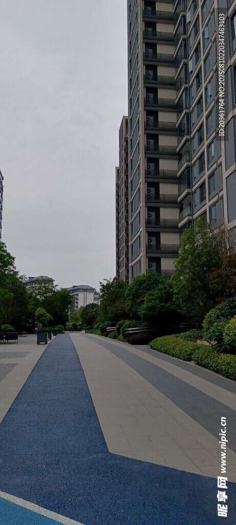 城市中色彩斑斓的道路景观